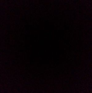 Meet your Posher, Randy